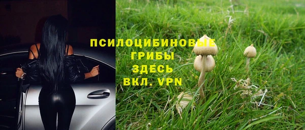 марихуана Богородицк