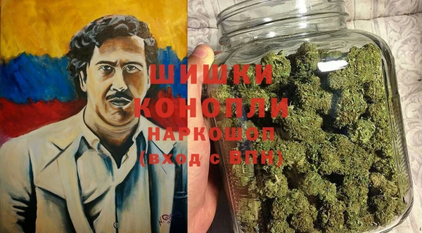 крисы Богородск