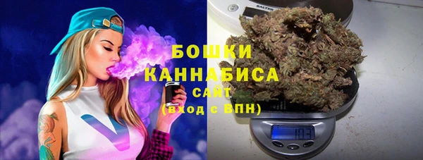 крисы Богородск