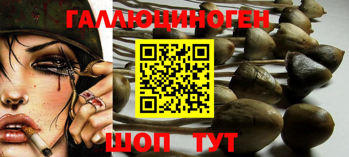 Галлюциногенные грибы ЛСД  Вход с VPN  Унеча 