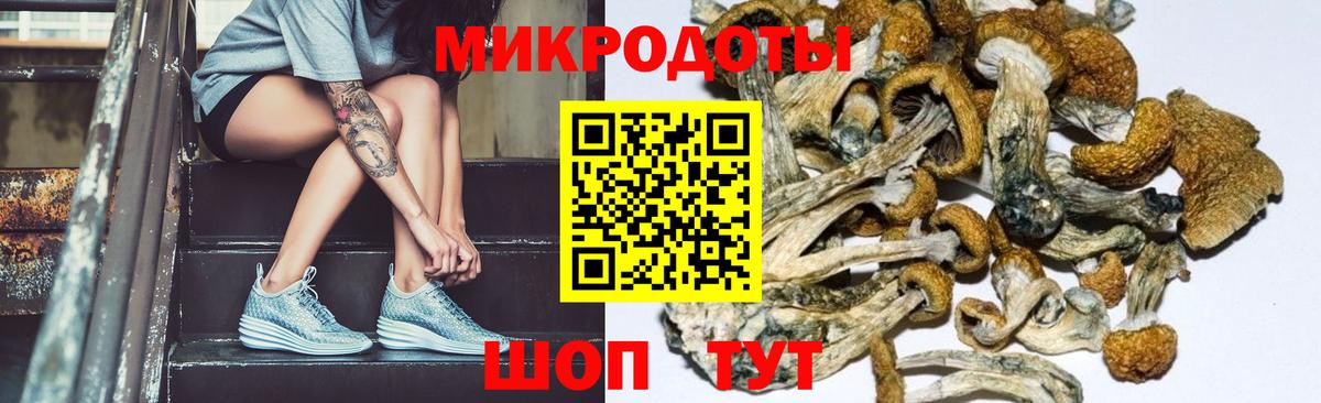 Псилоцибиновые грибы GOLDEN TEACHER Унеча